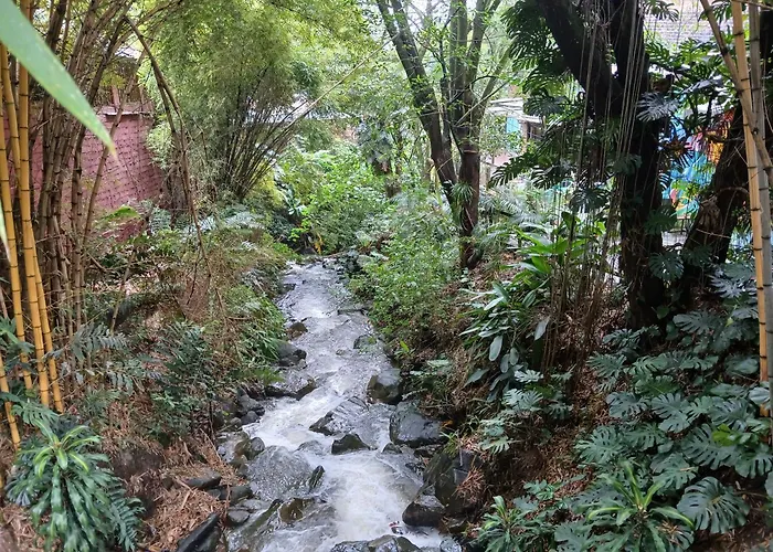 Yolo Hostel Medellin